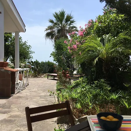 Il Pettirosso Holiday home *