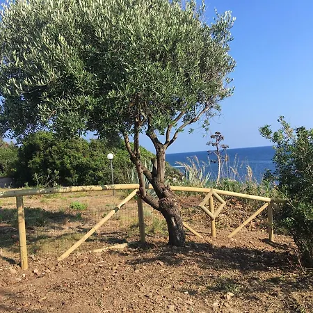 Il Pettirosso Vakantiehuis *
